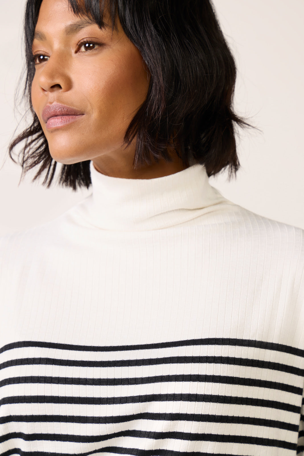 The Knit Rib Stripe Turtleneck