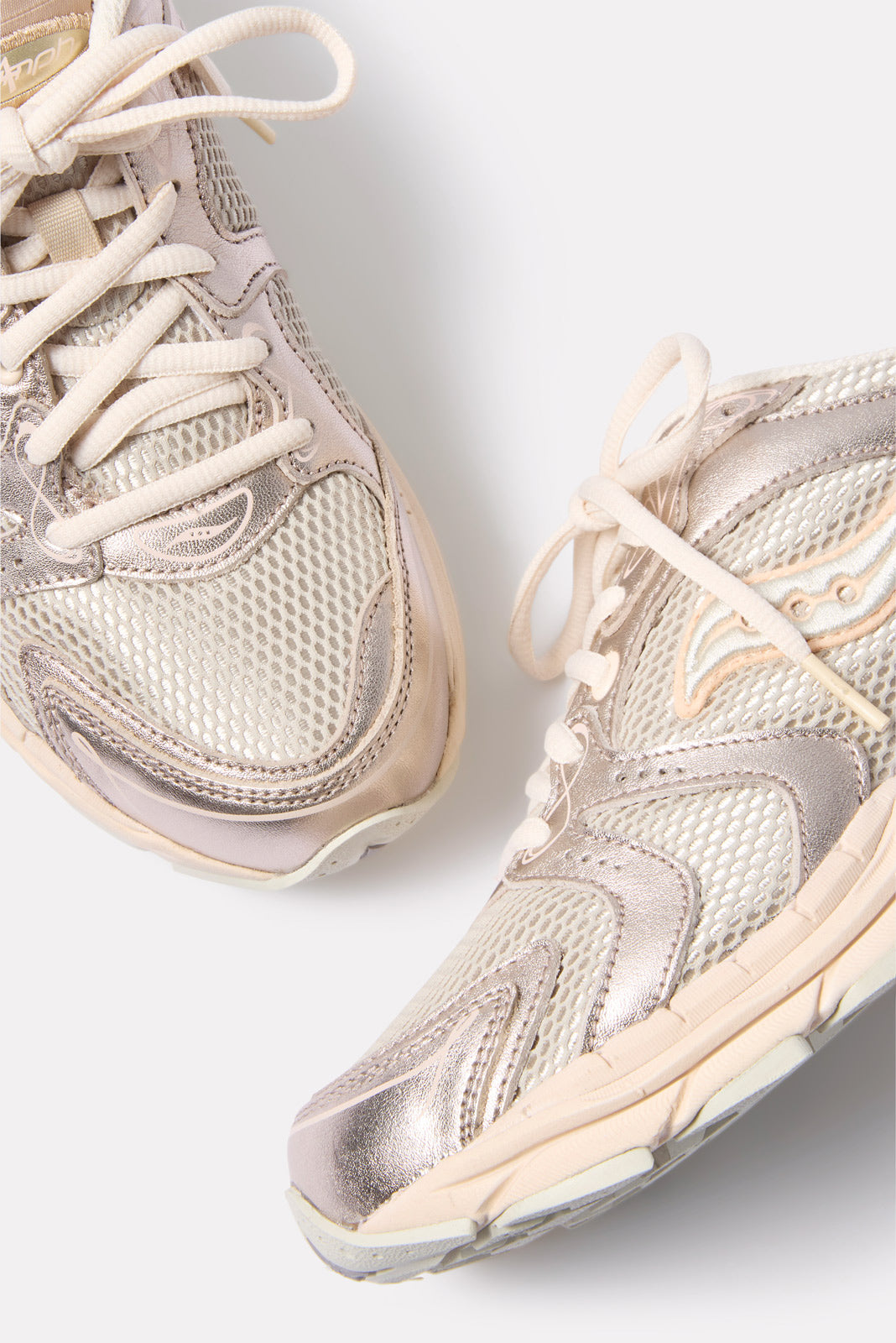 Progrid Triumph 4- Champage