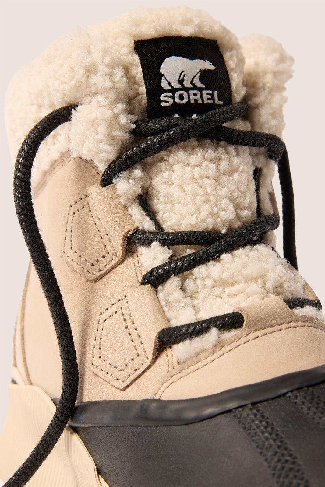 Out N About IV Chillz WP