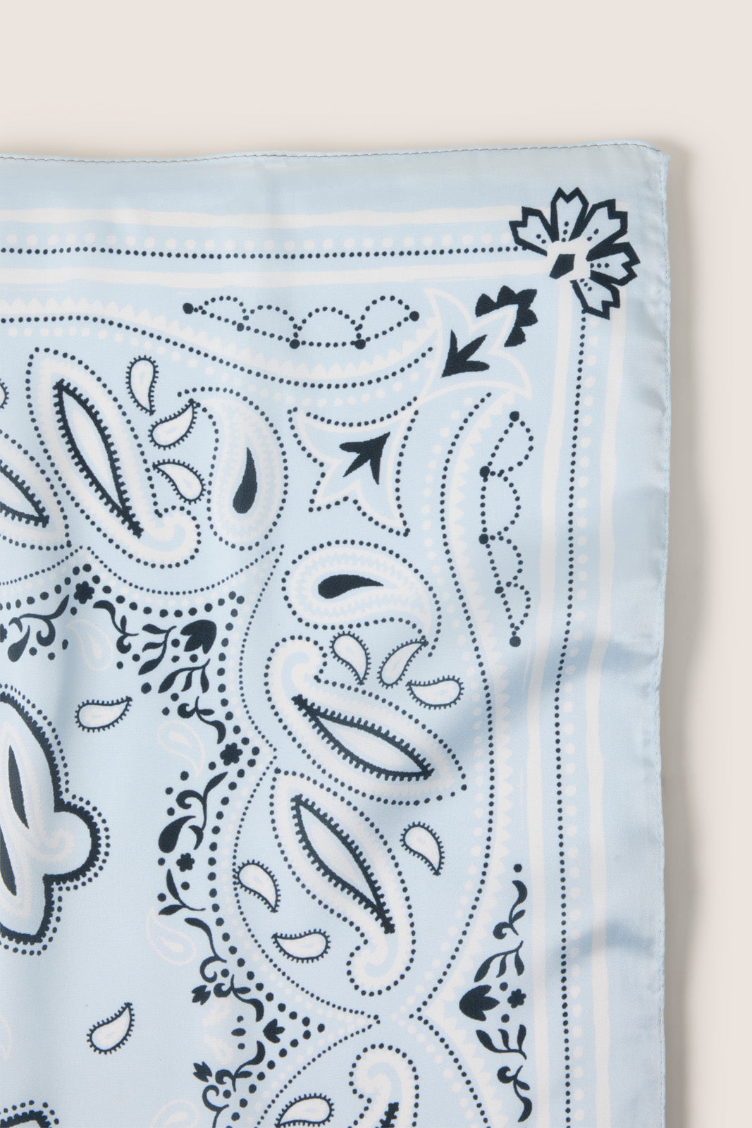 Ellie Paisley Bandana