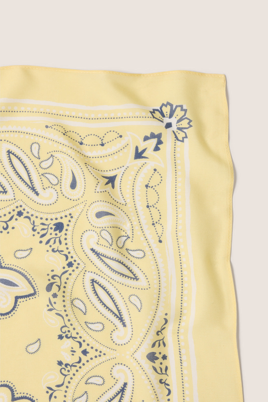 Ellie Paisley Bandana