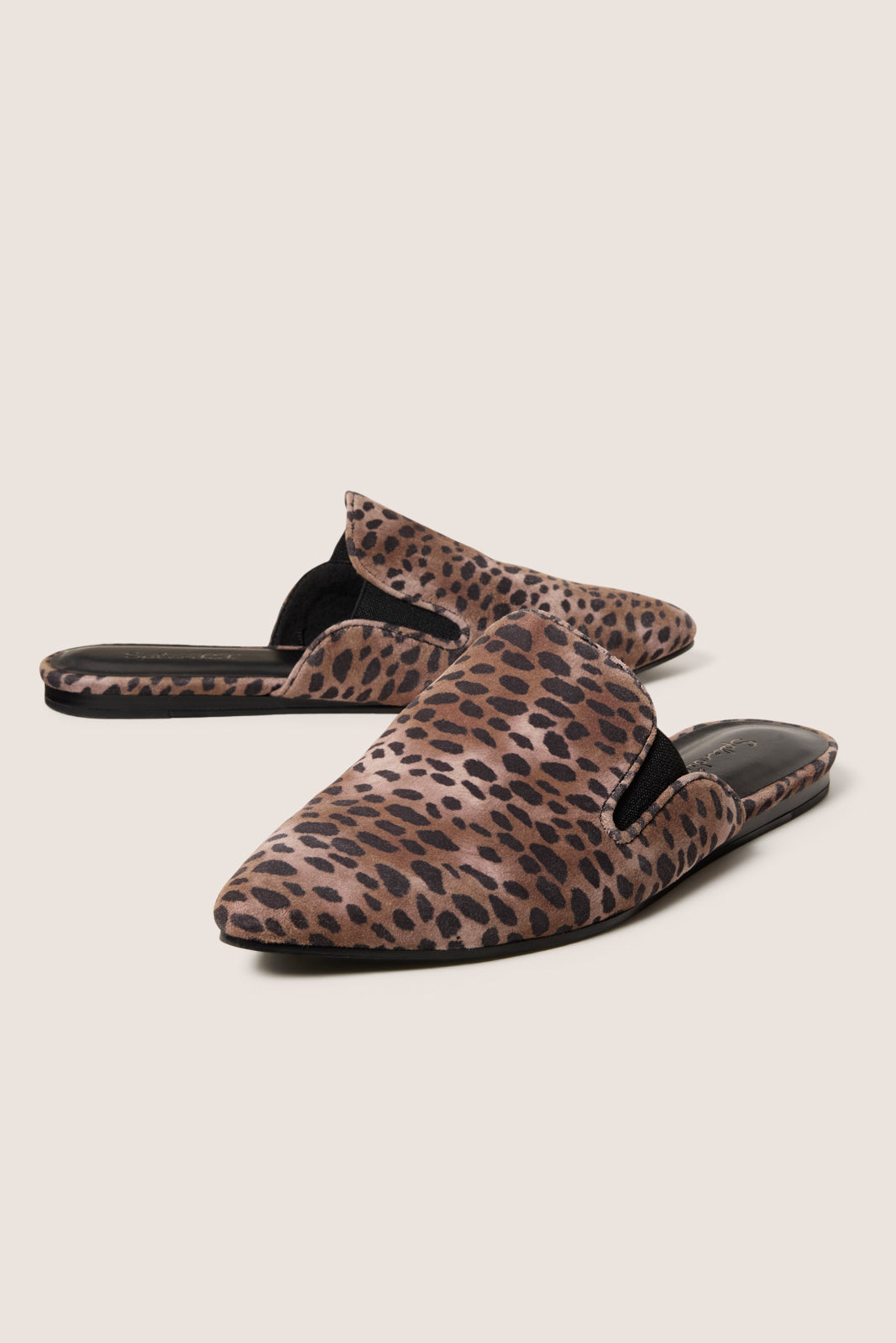 Liza Mule