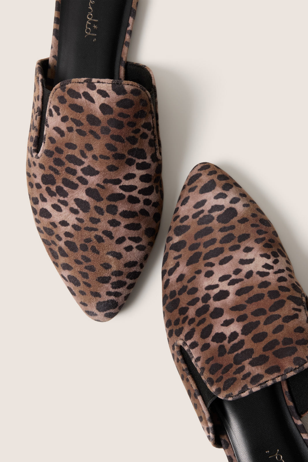 Liza Mule