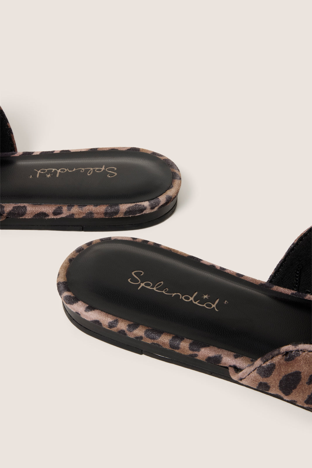 Liza Mule