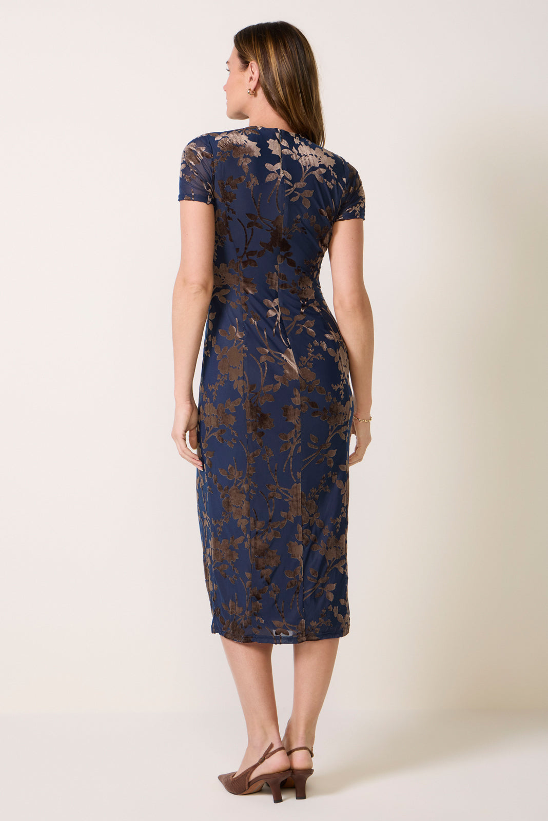 Rumi Burnout Velvet Dress