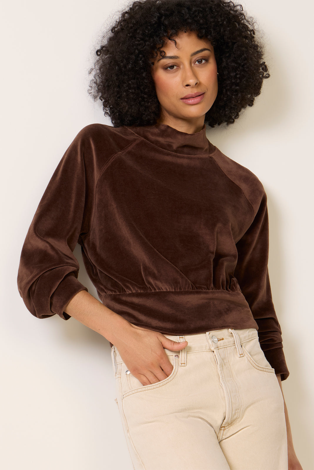 Erin Velour Mock Neck Top