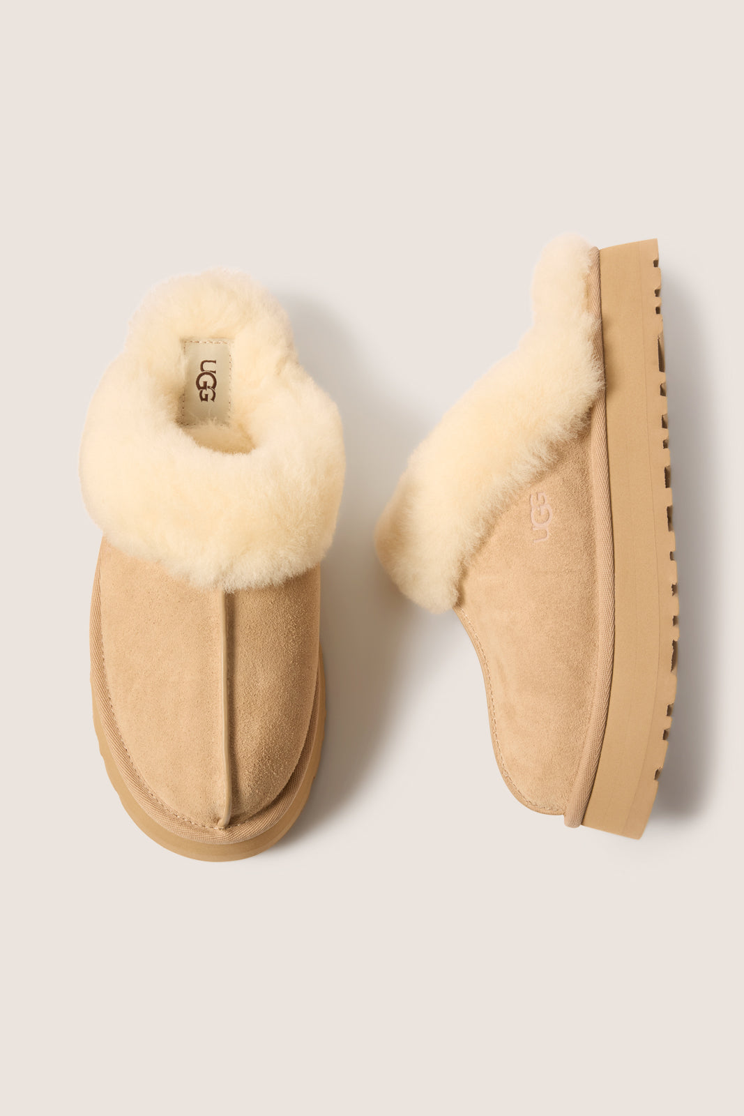 Disquette Slipper