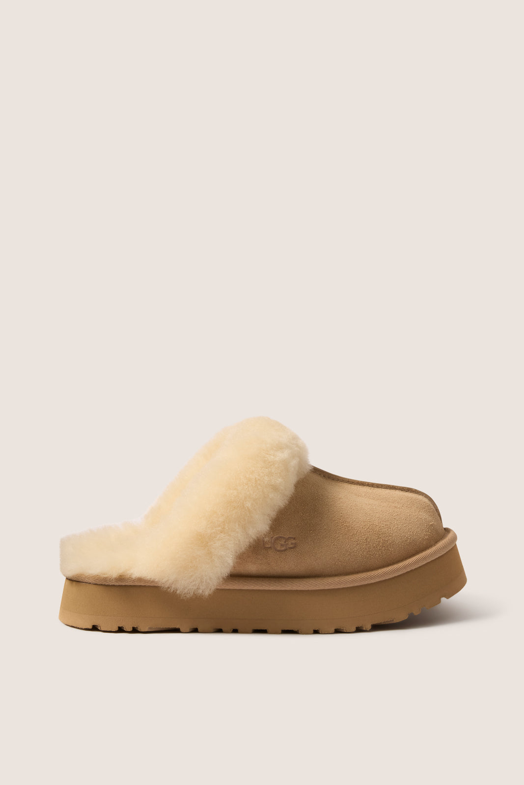 Disquette Slipper