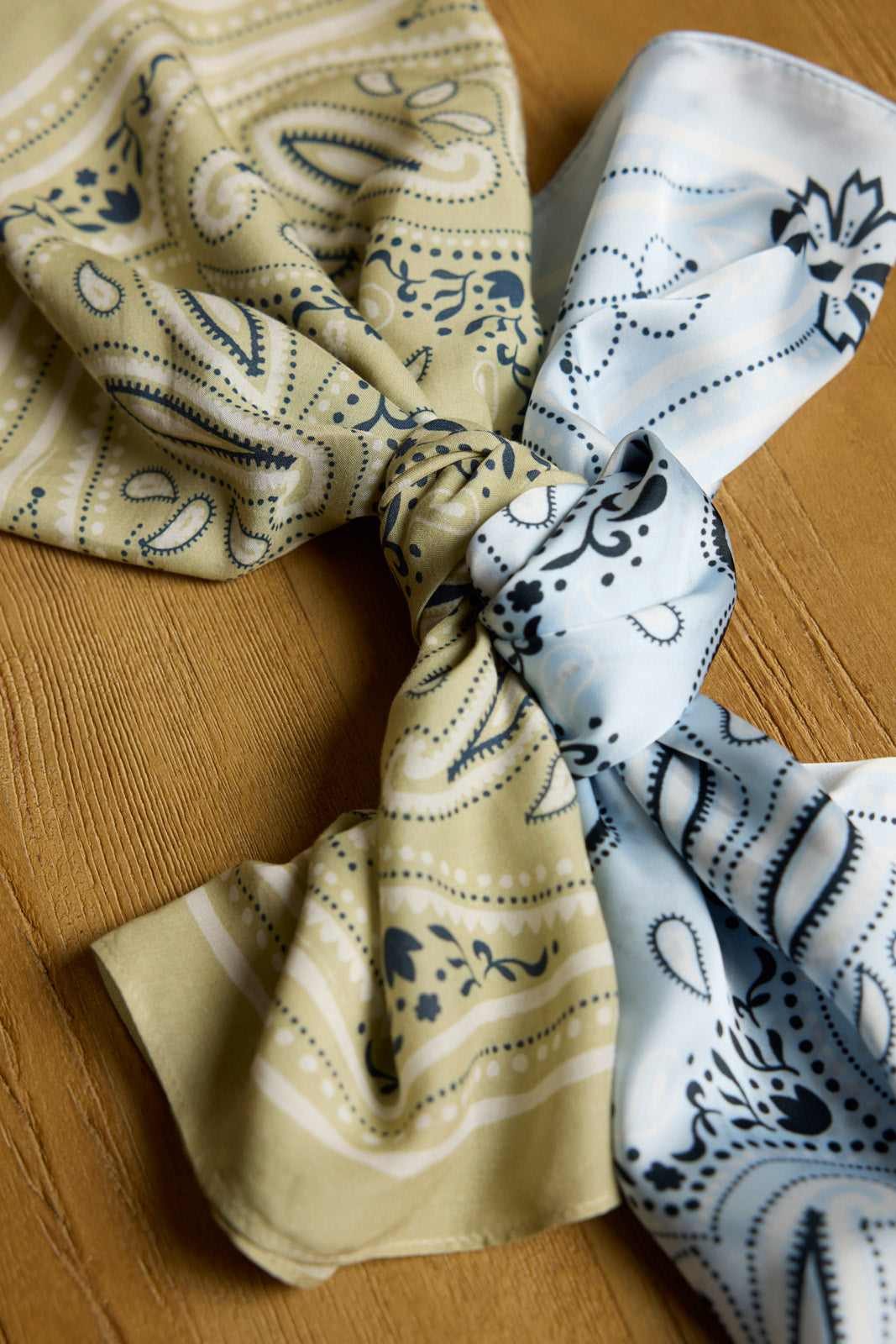 Ellie Paisley Bandana