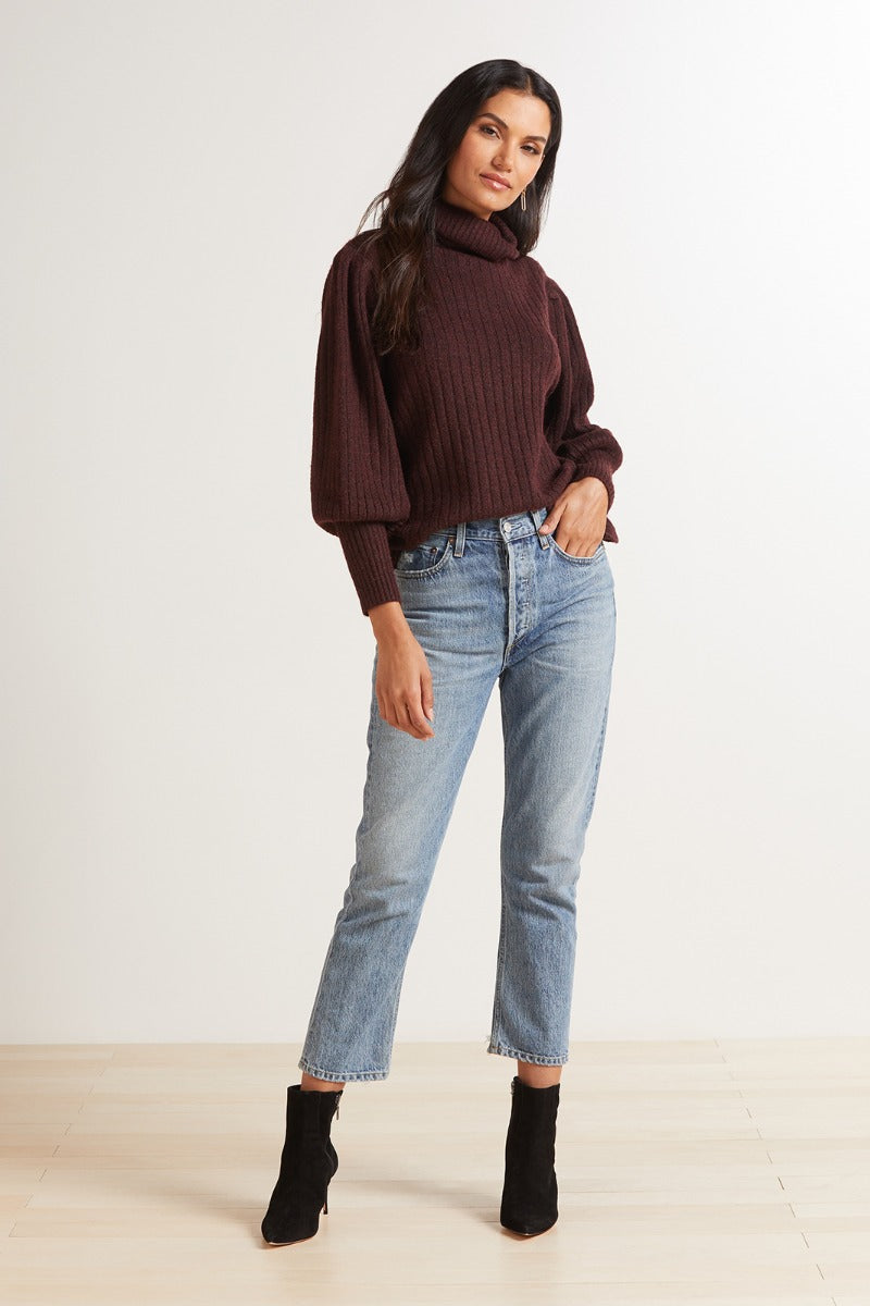 Kenzie Balloon Turtleneck Pullover